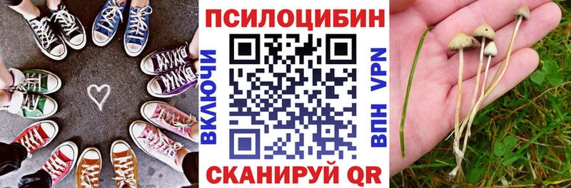 наркотики  Алдан  Галлюциногенные грибы Psilocybine cubensis 